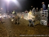 In a flurry of violence the bull erupts from the chute trying to dislodge the rider from his back.