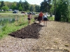 Spreading the mulch