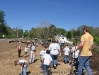 Spreading the mulch