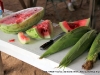 Freshly cut watermelon.