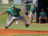 Spring Hill vs. Greenville in Little League (13-14) Tennessee State Championship game July 28th.