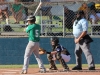 Spring Hill vs. Greenville in Little League (13-14) Tennessee State Championship game July 28th.