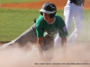 Spring Hill vs. Greenville in Little League (13-14) Tennessee State Championship game July 28th.