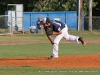 Spring Hill vs. Greenville in Little League (13-14) Tennessee State Championship game July 28th.