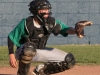 Spring Hill vs. Greenville in Little League (13-14) Tennessee State Championship game July 28th.