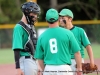 Spring Hill vs. Greenville in Little League (13-14) Tennessee State Championship game July 28th.