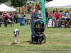 2013_doggie_palooza-001