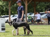 2013_doggie_palooza-023