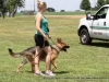 2013_doggie_palooza-030