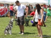 2013_doggie_palooza-041