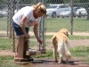 2013_doggie_palooza-042