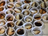 Clarksville's 2015 Chocolate Affair (51)