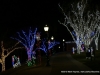 Clarksville's Christmas on the Cumberland Grand Opening (159)