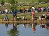 2015 TWRA - Clarksville Parks and Recreation Fishing Rodeo (16)