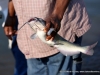 2015 TWRA - Clarksville Parks and Recreation Fishing Rodeo (60)