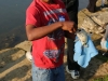 2015 TWRA - Clarksville Parks and Recreation Fishing Rodeo (7)