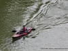 Rally on the Cumberland