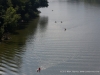 Rally on the Cumberland