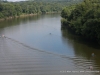 Rally on the Cumberland