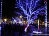 Christmas on the Cumberland