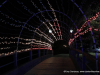 Christmas on the Cumberland