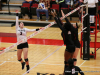 2017 OVC Tournament - Austin Peay vs. Southeast Missouri (56)