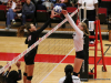 2017 OVC Tournament - Austin Peay vs. Southeast Missouri (79)