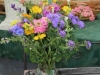 Clarksville Downtown Market