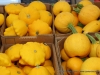 Clarksville Downtown Market