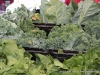 Clarksville Downtown Market