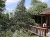 Storm damage