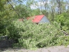 Storm damage