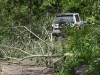 Storm damage