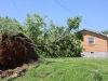 Storm damage