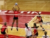 Austin Peay Lady Govs Volleyball vs. Jacksonville State.