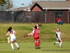 APSU Soccer vs. Jacksonville State (123)