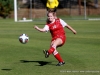 APSU Soccer vs. Jacksonville State (142)