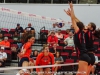 apsu-vb-vs-utm-10-12-13-19