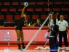 apsu-vball-vs-mtsu-11-5-13-2