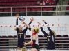 APSU Lady Govs Volleyball vs. Murray State Racers