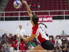 APSU Lady Govs Volleyball vs. Murray State Racers