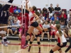 APSU Lady Govs Volleyball vs. Murray State Racers