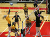 2018 OVC Volleyball Tournament - Austin Peay vs. Murray State