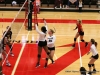 APSU Volleyball vs. Murray State (113)