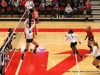 APSU Volleyball vs. Murray State (115)