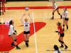 APSU Volleyball vs. Murray State (144)