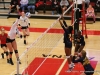 APSU Volleyball vs. Murray State (195)