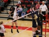 APSU Volleyball vs. Murray State (216)