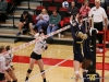 APSU Volleyball vs. Murray State (217)