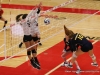 APSU Volleyball vs. Murray State (232)